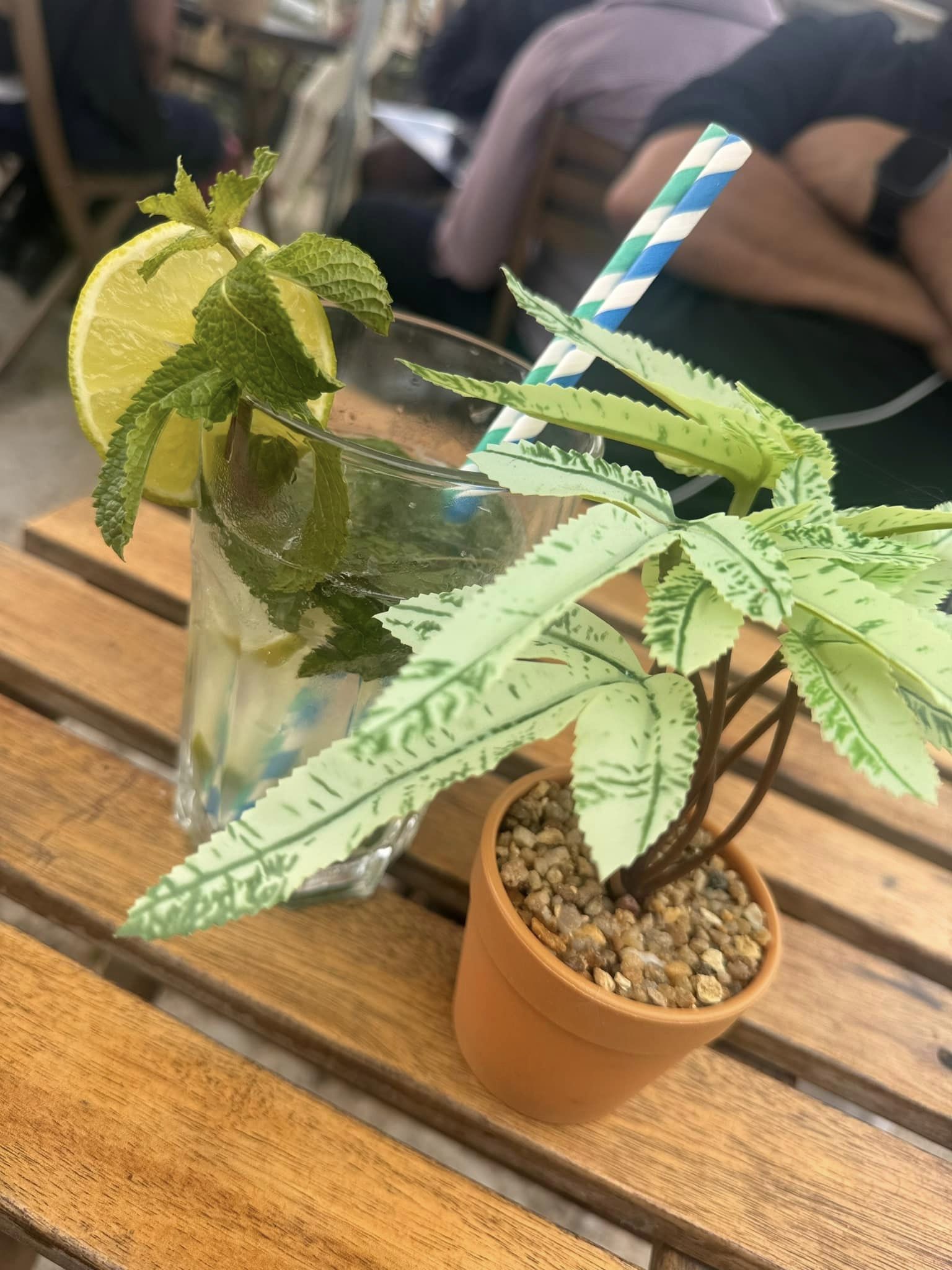 456379630 122106834992472319 6698980761847037550 N